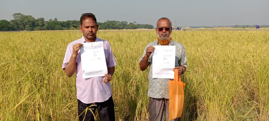 বাকেরগঞ্জে সৌদি প্রবাসী চার ভাইয়ের জমি ভূমিদস্যুদের দখলে