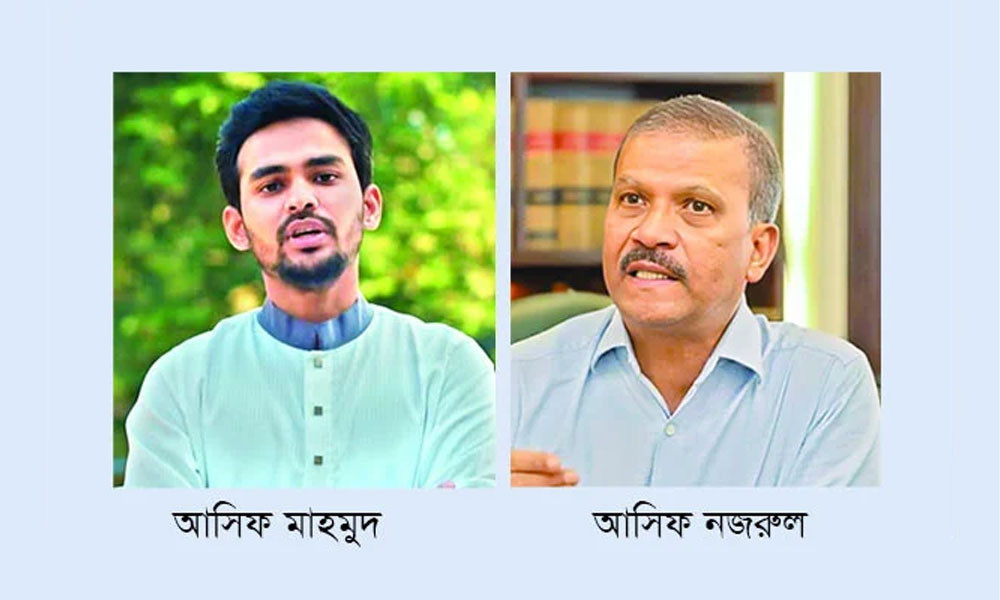 দুই আসিফের আক্রোশের শিকার ক্রিকেট