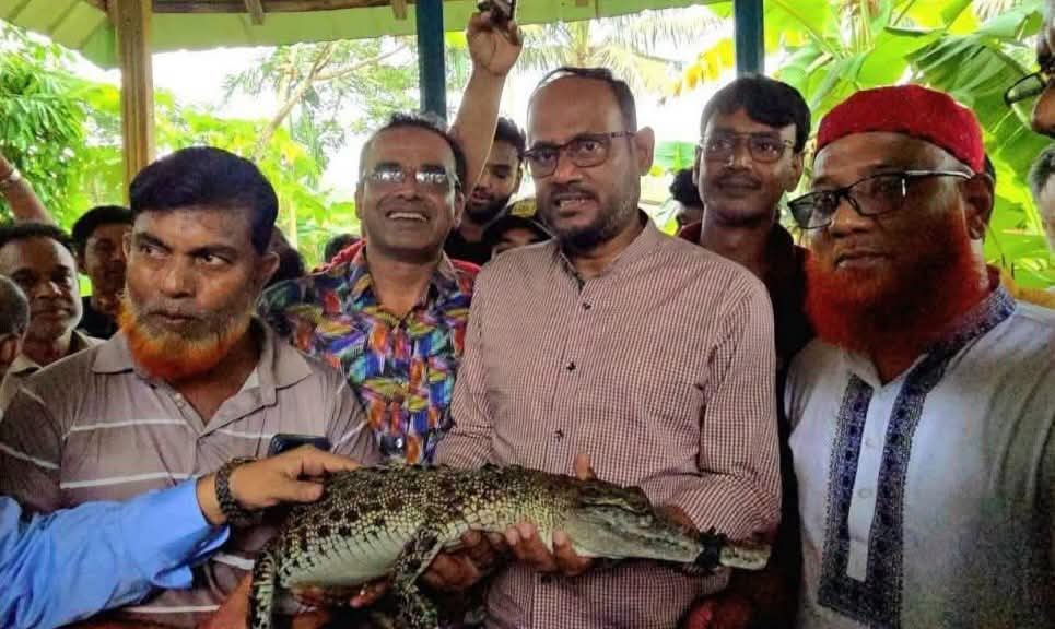 ময়মনসিংহের ভালুকায় কুমিরের খামার পরিদর্শনে মৎস্য ও প্রাণিসম্পদ প্রতিমন্ত্রী