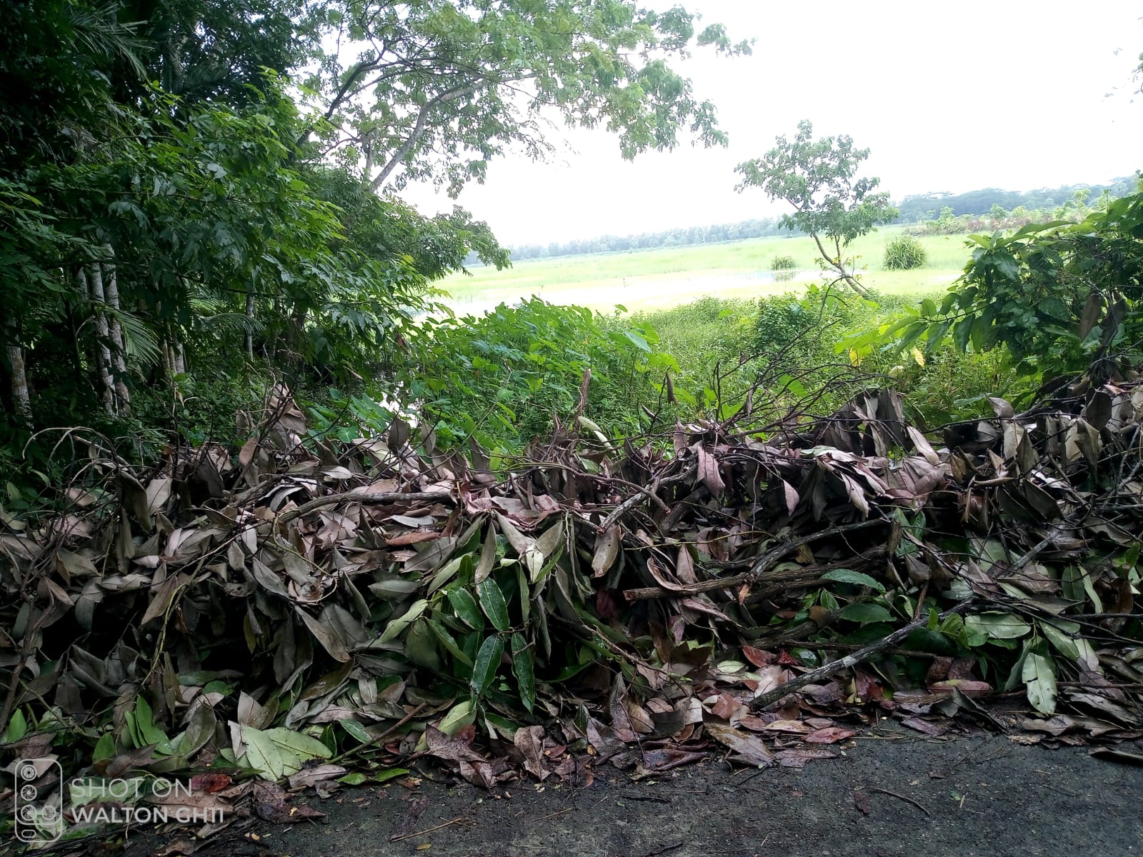 দিনদুপুরে বরিশালের এডিএম আদালতে ডাকাতি: আসল রিপোর্ট চুরি করে ভুয়া মাদ্রাসা সাজালো সিন্ডিকেট!