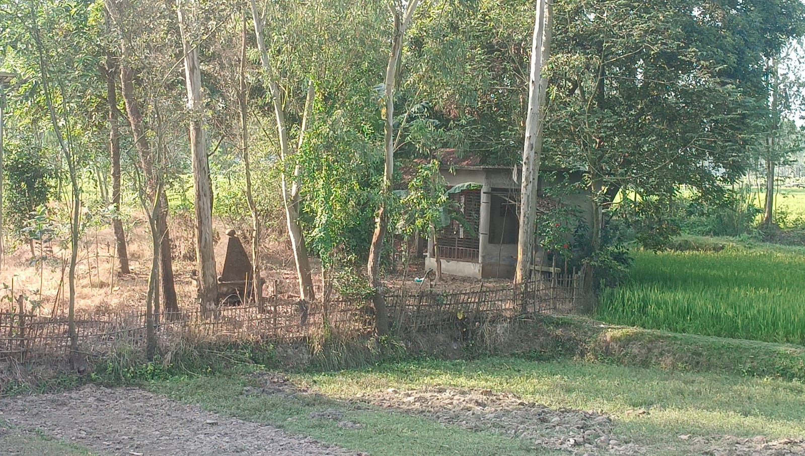 দিনাজপুর বীরগঞ্জে তান্ত্রিক কবিরাজ কে মারপিট এবং প্রস্রাব খাওয়ানোর ঘটনায় থানায় মামলা।
